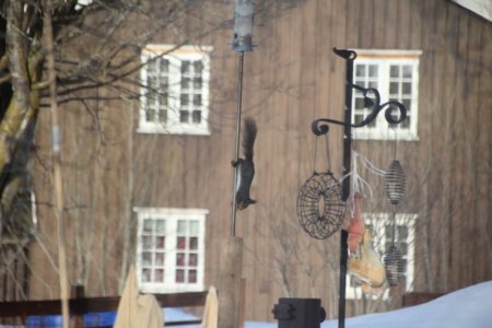 IMG_0207.JPG IMG_0207.JPG