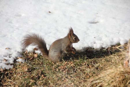 IMG_0250.JPG IMG_0250.JPG