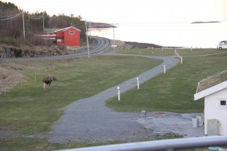 IMG_0273.JPG IMG_0273.JPG