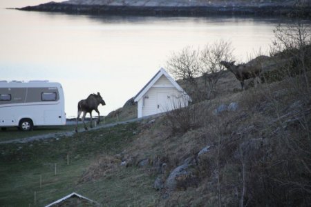 IMG_0303.JPG IMG_0303.JPG