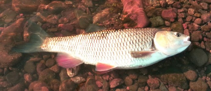 20220423_090933.jpg 20220423_090933.jpg