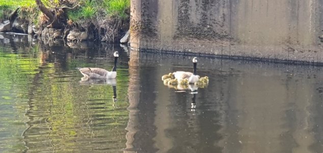 20220424_183345.jpg 20220424_183345.jpg