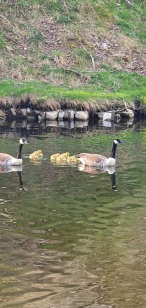 20220424_183407.jpg 20220424_183407.jpg