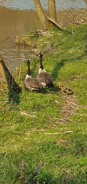 20220424_183800.jpg 20220424_183800.jpg