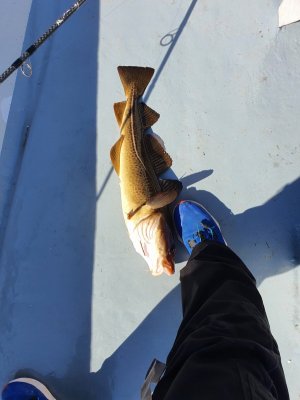 20220423_134338.jpg 20220423_134338.jpg