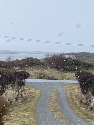 7CB693FF-FA64-47EC-9198-0E20961F3C62.jpeg 7CB693FF-FA64-47EC-9198-0E20961F3C62.jpeg