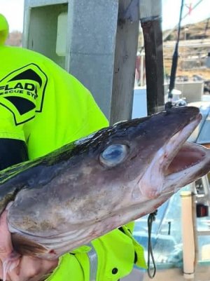 BC00A75F-5F98-4F53-8115-352E9B861510.jpeg BC00A75F-5F98-4F53-8115-352E9B861510.jpeg