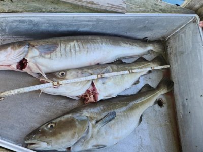 909A15FD-3D6D-4BEF-B026-328FB8E45BF9.jpeg 909A15FD-3D6D-4BEF-B026-328FB8E45BF9.jpeg