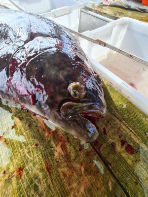 D53535BC-54B5-4914-B152-50C3D8A180A1.jpeg D53535BC-54B5-4914-B152-50C3D8A180A1.jpeg