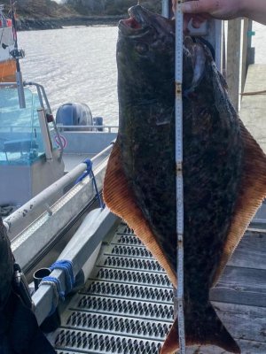 594BDCAD-D260-4243-8A3D-BE07028AD7BC.jpeg 594BDCAD-D260-4243-8A3D-BE07028AD7BC.jpeg