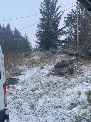 4C637971-B8F1-4C4F-A269-6AF988E2990A.jpeg 4C637971-B8F1-4C4F-A269-6AF988E2990A.jpeg