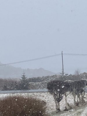 65D10E55-B8A3-405B-81C4-AE8F227A923E.jpeg 65D10E55-B8A3-405B-81C4-AE8F227A923E.jpeg