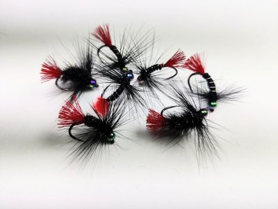 IMG_20220427_220829_1.jpg IMG_20220427_220829_1.jpg