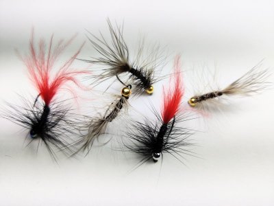 IMG_20220427_221341_1.jpg IMG_20220427_221341_1.jpg