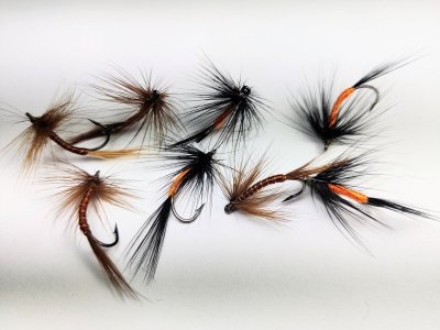 IMG_20220427_221101_1.jpg IMG_20220427_221101_1.jpg