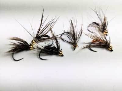 IMG_20220427_221028_1.jpg IMG_20220427_221028_1.jpg