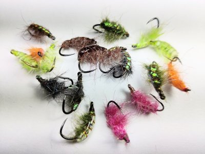 IMG_20220427_220707_1.jpg IMG_20220427_220707_1.jpg