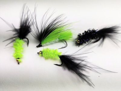 IMG_20220427_221439_1.jpg IMG_20220427_221439_1.jpg