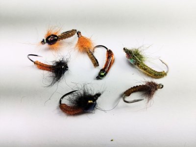 IMG_20220427_221300_1.jpg IMG_20220427_221300_1.jpg