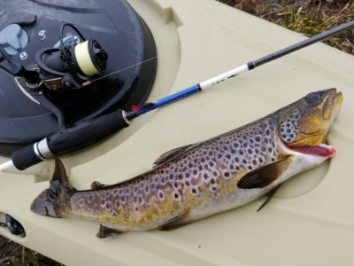 20210506_161921.jpg 20210506_161921.jpg