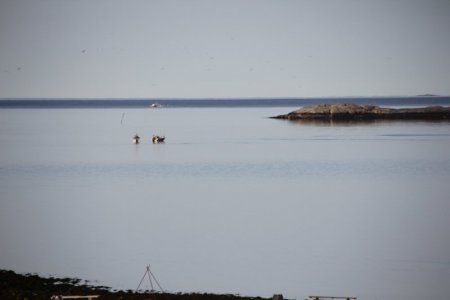 IMG_0256.JPG