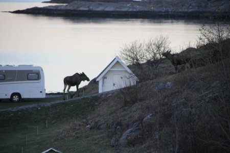 IMG_0307.JPG