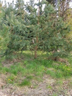 20220430_170323.jpg 20220430_170323.jpg