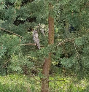 20220430_170323a.jpg 20220430_170323a.jpg