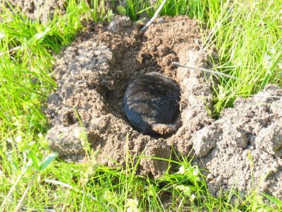 DSCN0318.JPG DSCN0318.JPG