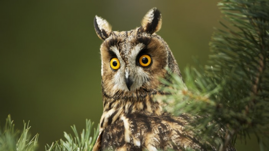 1651590515073.png 1651590515073.png