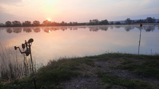 20220502_060802.jpg 20220502_060802.jpg