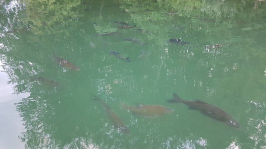 11 005.jpg 11 005.jpg