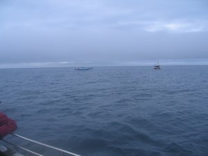 IMG_5930 (Kopie).JPG