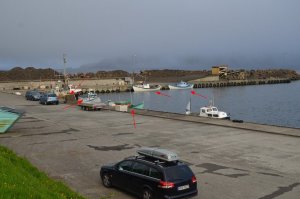 DSC_1473 (Kopie).JPG