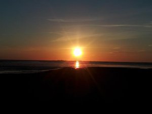 20150604_212804 (2).jpg