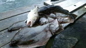 20150614_222344.jpg 20150614_222344.jpg