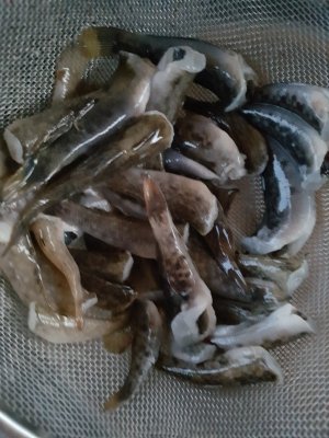 20220504_210704.jpg 20220504_210704.jpg