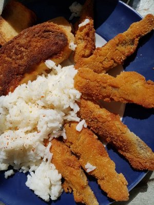 20220508_123725.jpg 20220508_123725.jpg