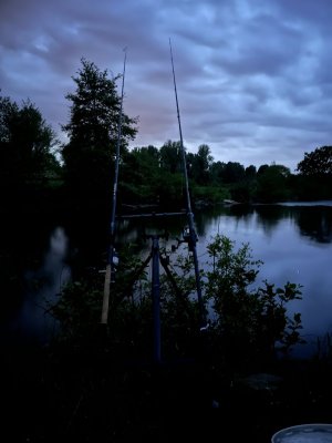 7BDCD496-92BB-4C96-B197-8D848ACC4CF7.jpeg 7BDCD496-92BB-4C96-B197-8D848ACC4CF7.jpeg