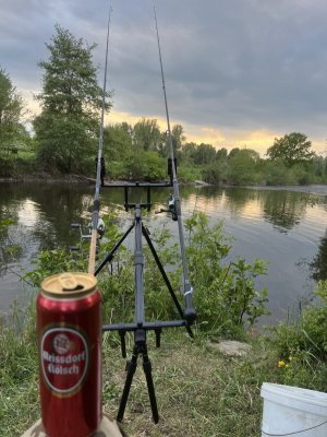 85A742B1-F8CA-46A8-9474-6F7B3DA1996B.jpeg 85A742B1-F8CA-46A8-9474-6F7B3DA1996B.jpeg