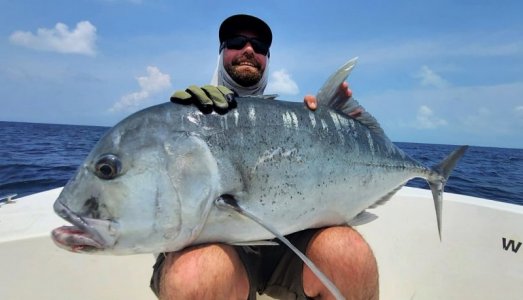 WhatsApp Image 2022-05-07 at 20.42.39.jpeg