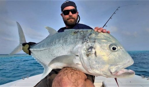 WhatsApp Image 2022-05-07 at 20.42.45.jpeg