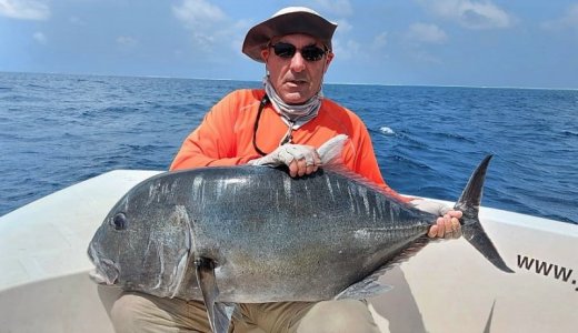 WhatsApp Image 2022-05-08 at 14.29.43.jpeg