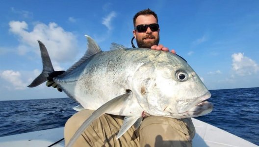 WhatsApp Image 2022-05-08 at 14.29.45.jpeg