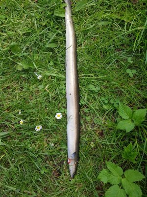 20220512_164816.jpg 20220512_164816.jpg