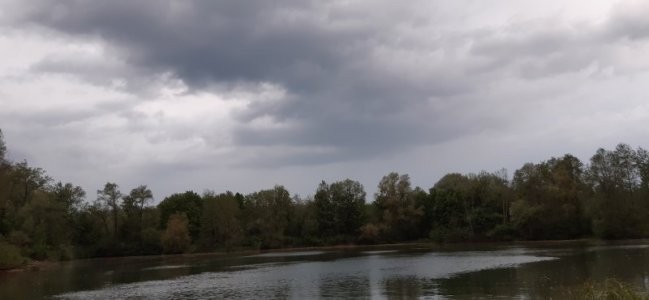 20220512_202627.jpg 20220512_202627.jpg