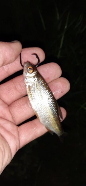 20220512_205056.jpg 20220512_205056.jpg