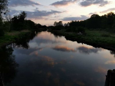 IMG-20220514-WA0001.jpg IMG-20220514-WA0001.jpg