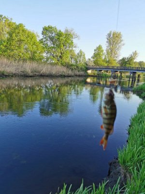 IMG-20220514-WA0003.jpg IMG-20220514-WA0003.jpg