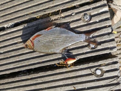 IMG-20220514-WA0000.jpg IMG-20220514-WA0000.jpg